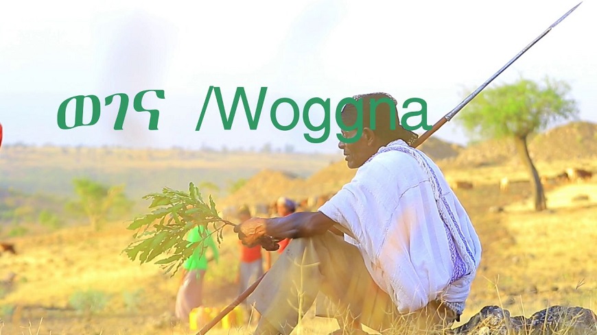 Wogena pics